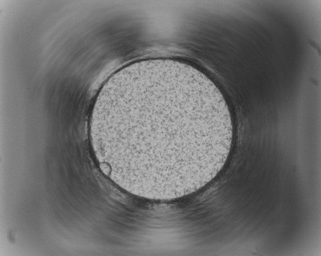 X0000103481459200810241026