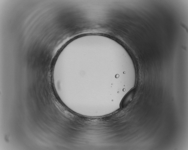 X0000103481460200810241026