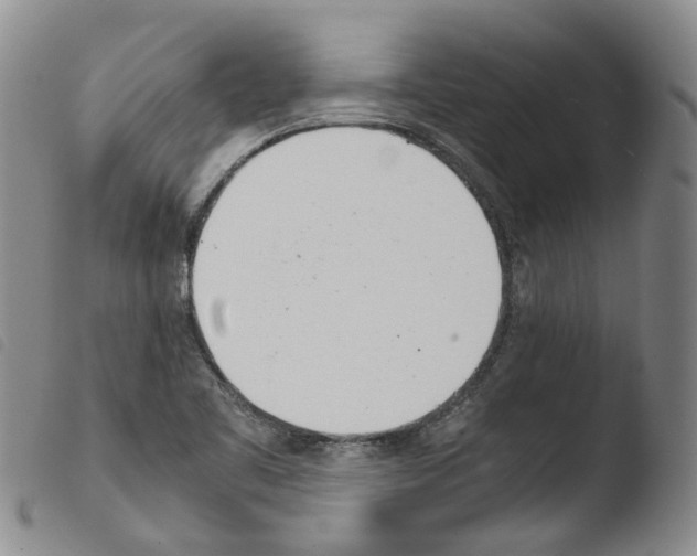 X0000103481461200810241026