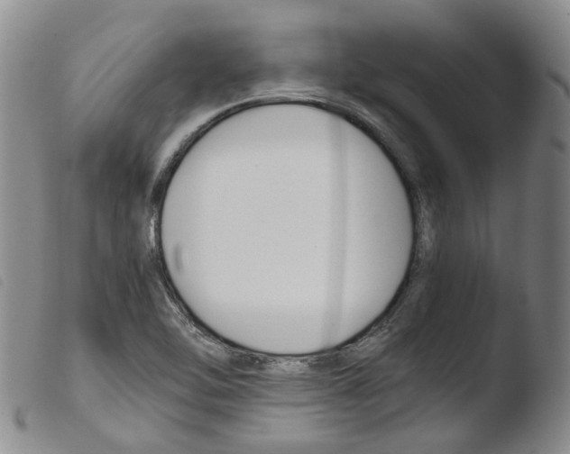 X0000103481462200810241026