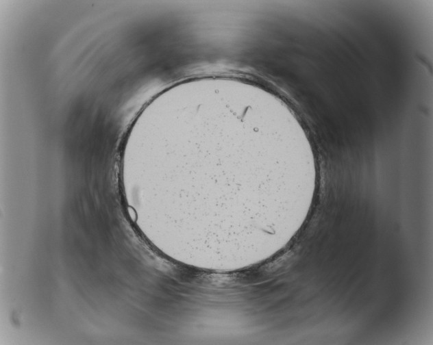 X0000103481463200810241026