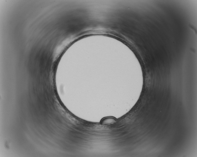 X0000103481464200810241026