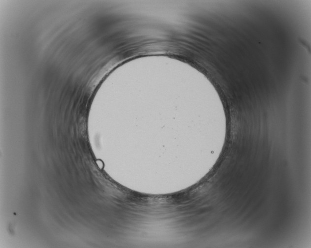 X0000103481465200810241026
