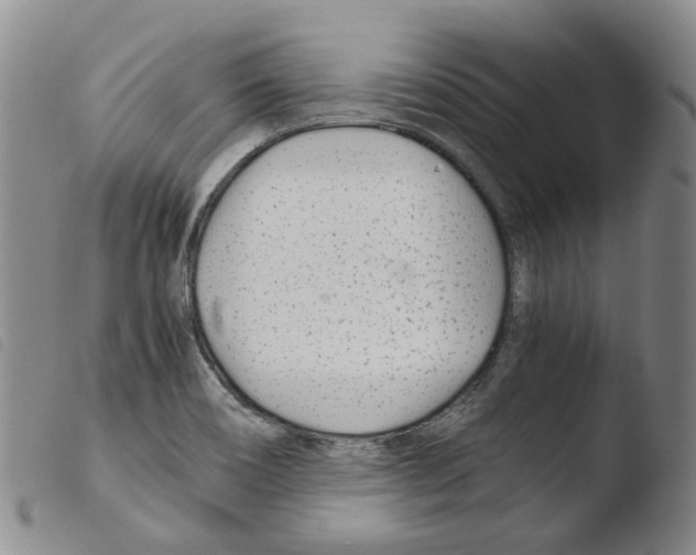 X0000103481466200810241026