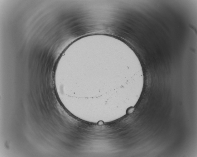 X0000103481468200810241026