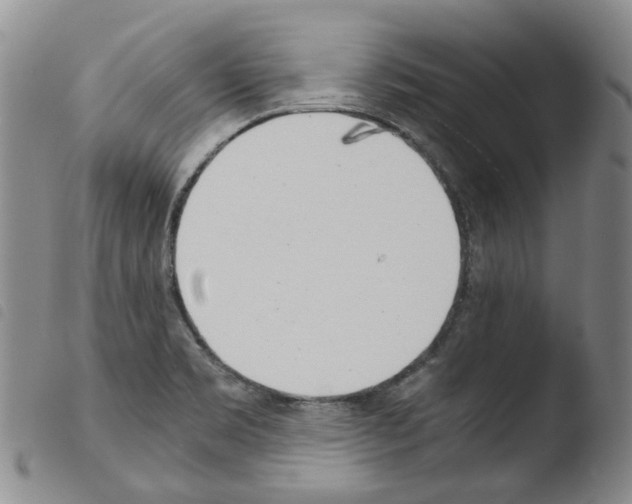 X0000103481469200810241026