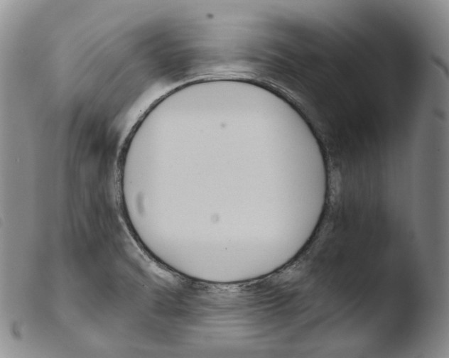 X0000103481470200810241026