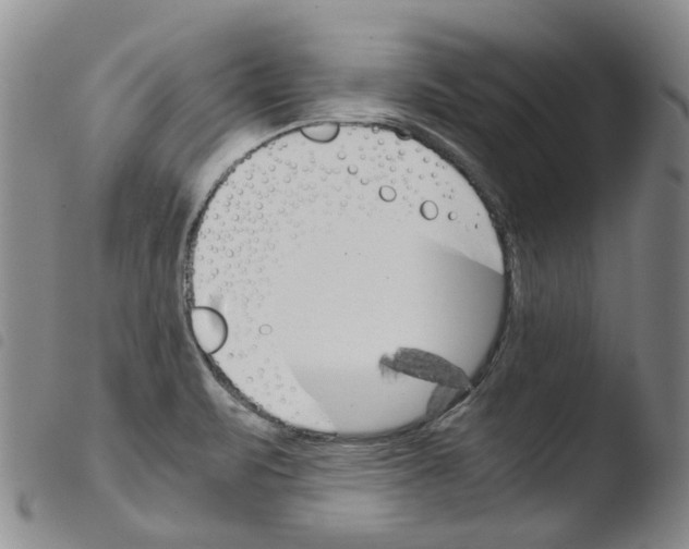 X0000103481471200810241026