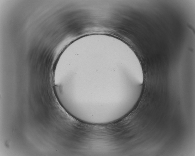 X0000103481472200810241026