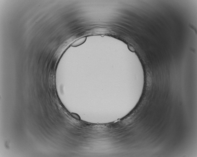 X0000103481473200810241026