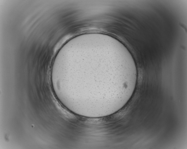 X0000103481474200810241026