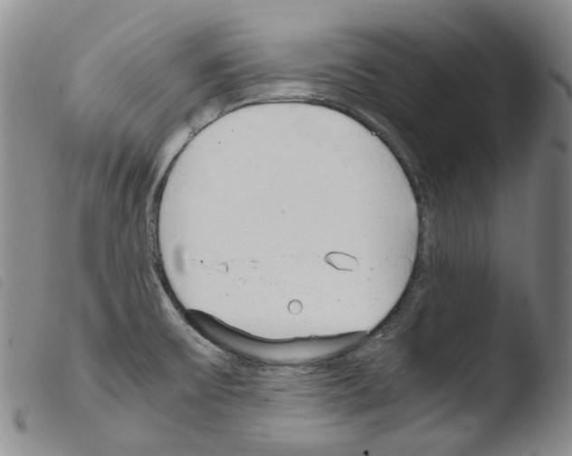 X0000103481475200810241026