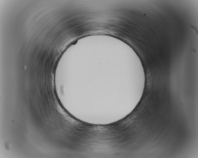 X0000103481476200810241026