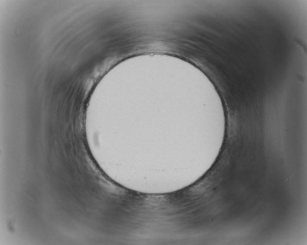 X0000103481477200810241026