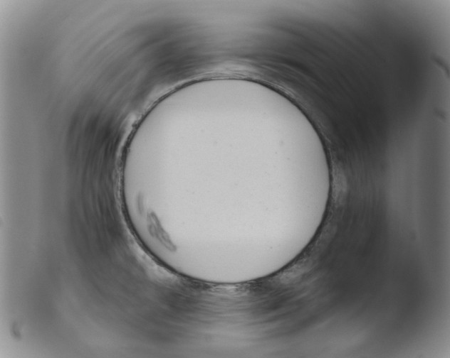 X0000103481478200810241026