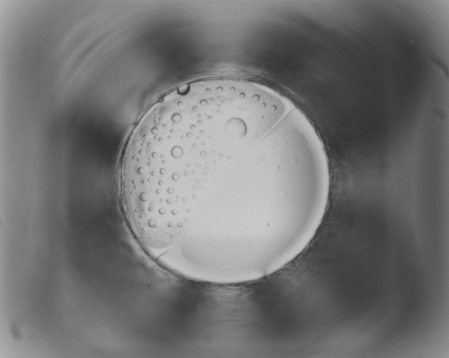 X0000103481479200810241026