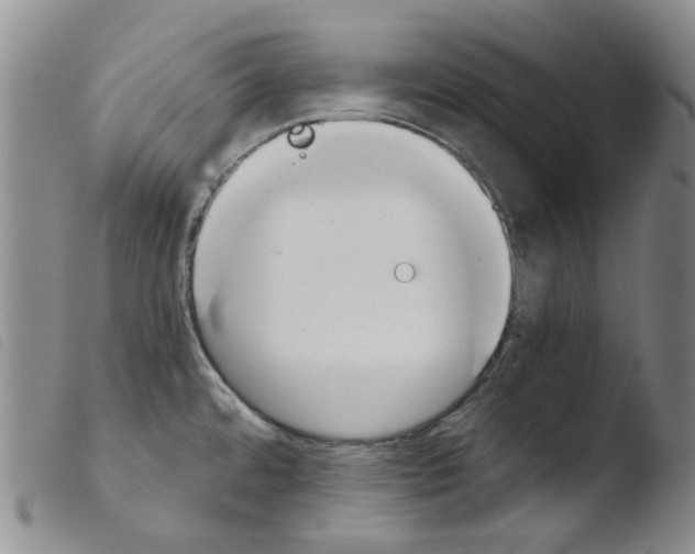 X0000103481480200810241026