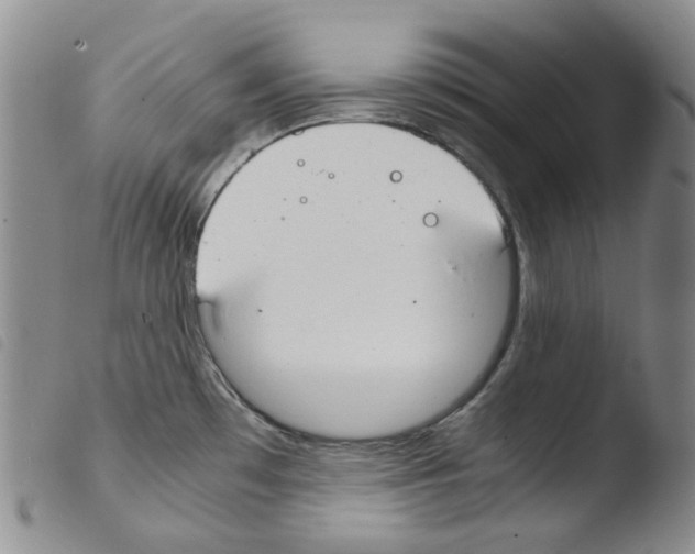 X0000103481481200810241026