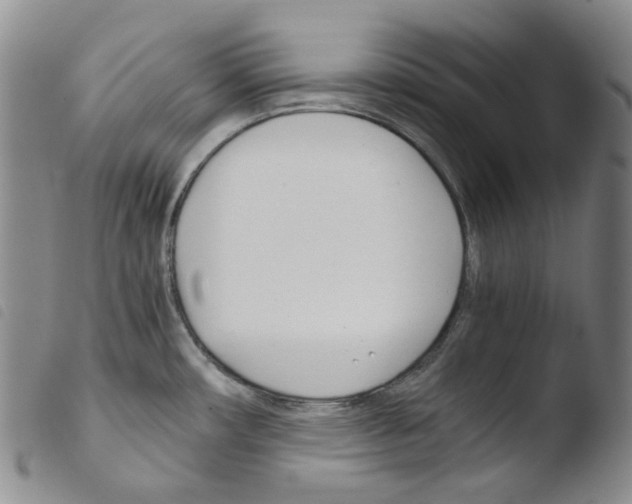 X0000103481482200810241026