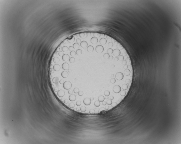 X0000103481483200810241026