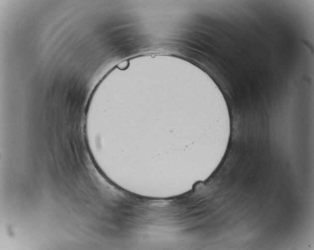 X0000103481484200810241026