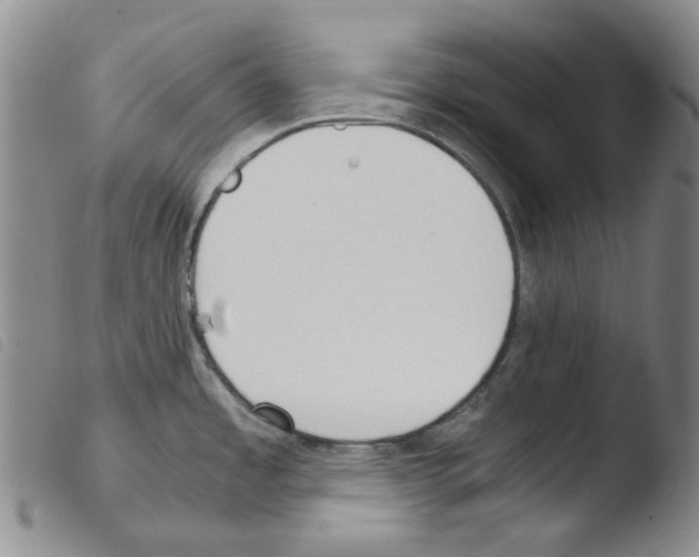 X0000103481485200810241026
