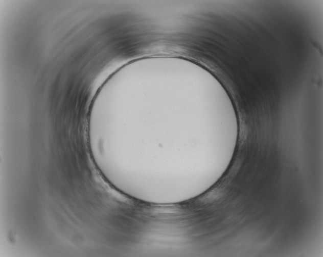 X0000103481486200810241026
