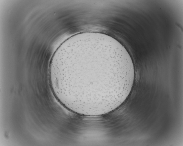 X0000103481487200810241026