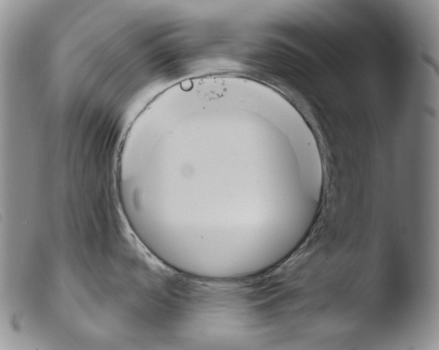 X0000103481488200810241026