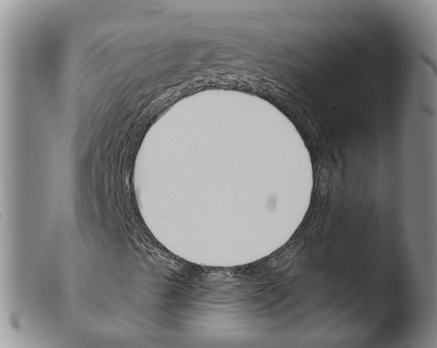 X0000103481489200810241025
