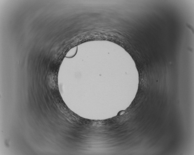 X0000103481490200810241025
