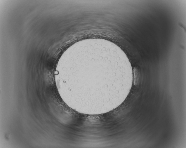 X0000103481491200810241025