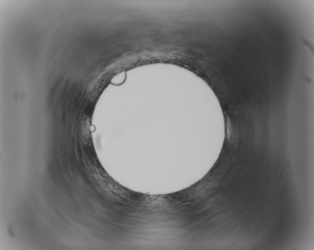 X0000103481492200810241025