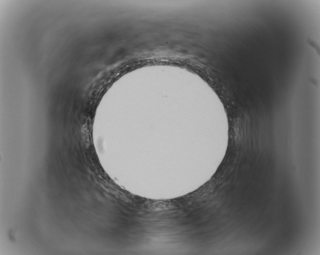 X0000103481493200810241025