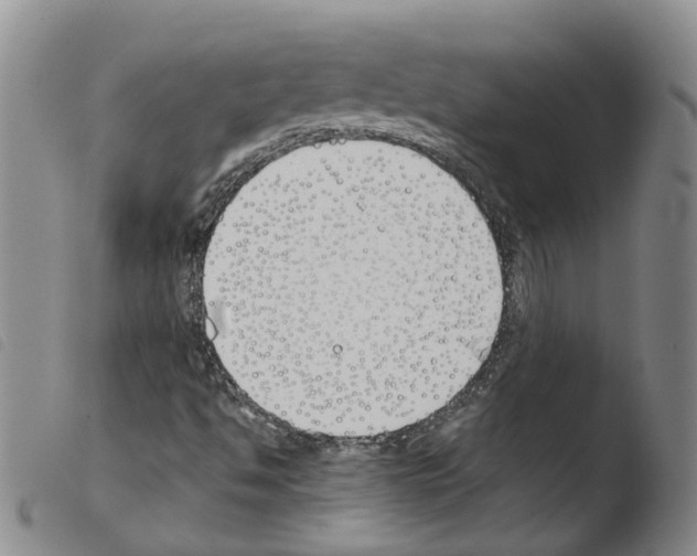 X0000103481494200810241025