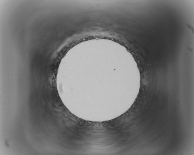 X0000103481495200810241025