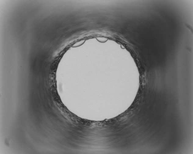 X0000103481496200810241025