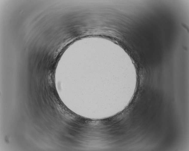 X0000103481497200810241025