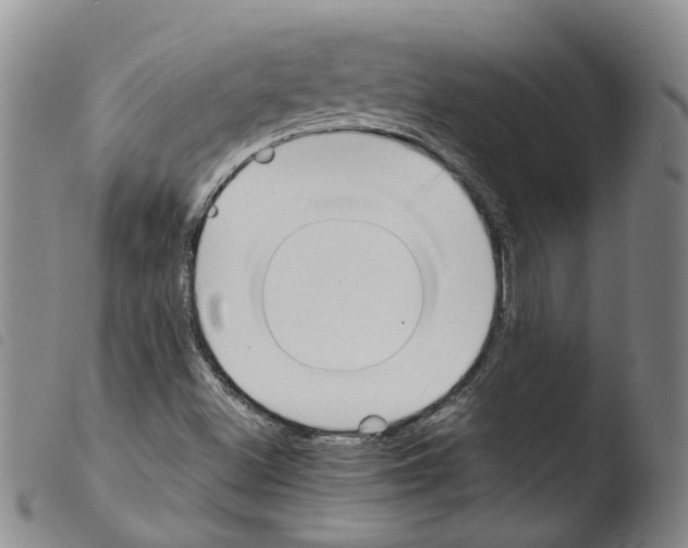 X0000103481500200810241025