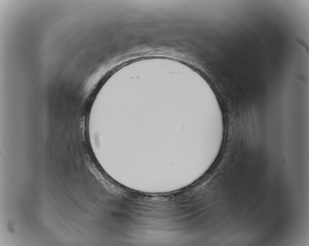 X0000103481503200810241025