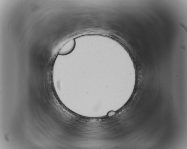 X0000103481504200810241025