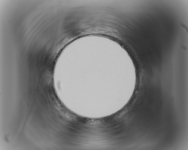 X0000103481505200810241025