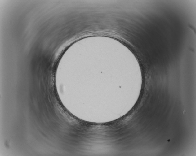 X0000103481506200810241025