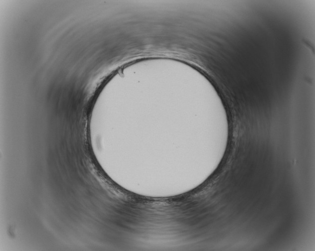 X0000103481507200810241025
