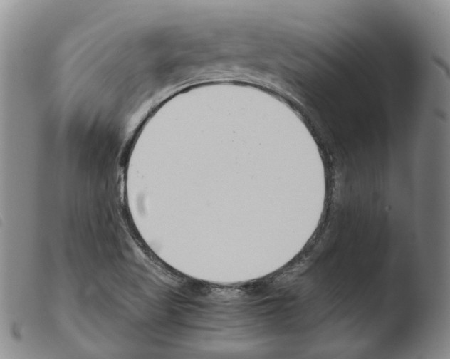 X0000103481509200810241026