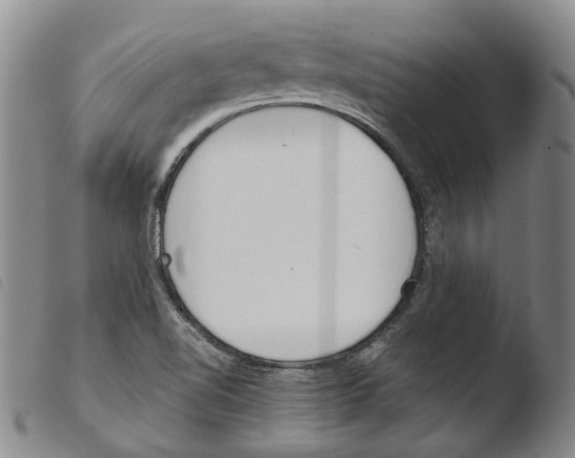 X0000103481510200810241026