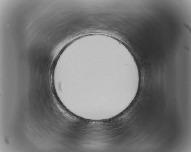 X0000103481511200810241026