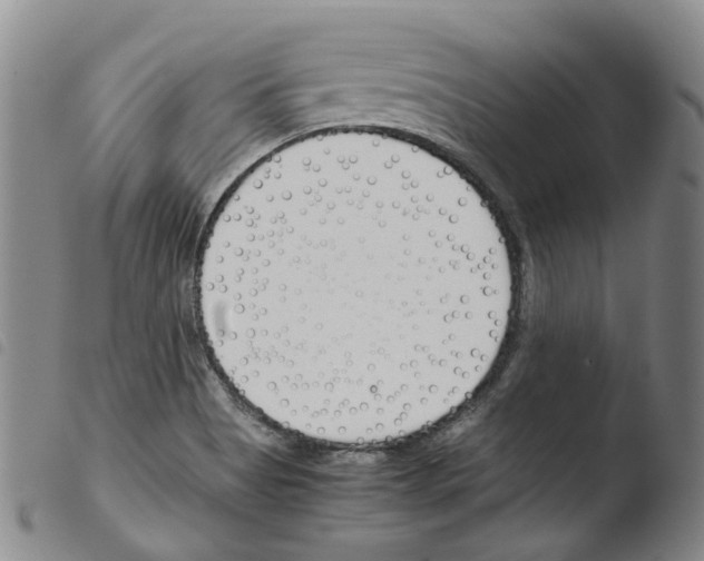 X0000103481513200810241026