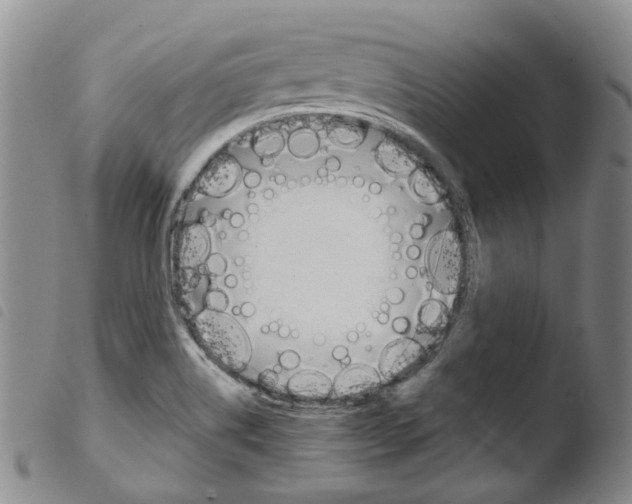 X0000103481514200810241026