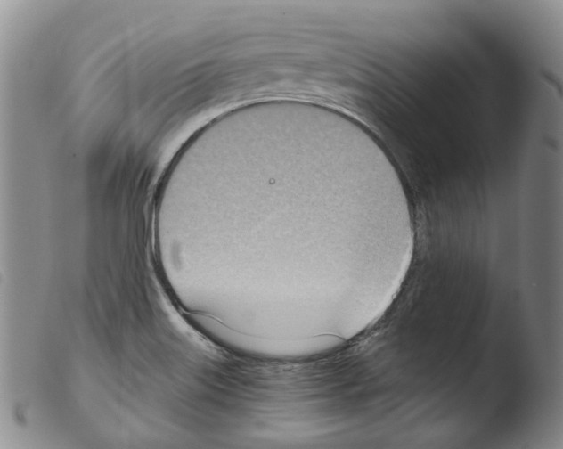 X0000103481515200810241026